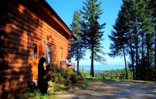 Traditional Log Cabin Getaway on Lake Koocanusa in Lincoln County, Montana - 0