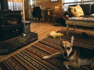 Private Cabin on the Banks of the Trade River in Grantsburg, Winsconsin - 2