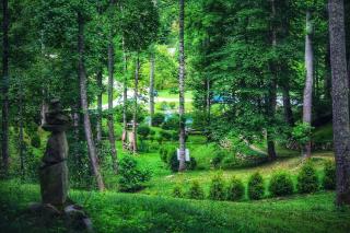 Impressive Barn Suite with Hot-tub and Petting Zoo in Sugar Grove, North Carolina - 1