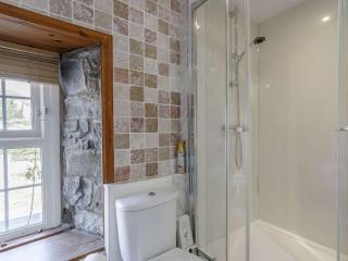 4 Bed in New Quay 78589 - 8