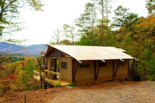 Luxury Safari Tent Near Great Smoky Mountains, Tennessee - 0