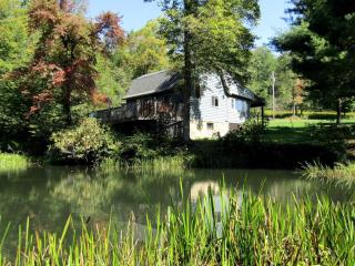 Secluded Rental Cabin with Hot Tub near Deep Creek Lake in West Virginia - 0