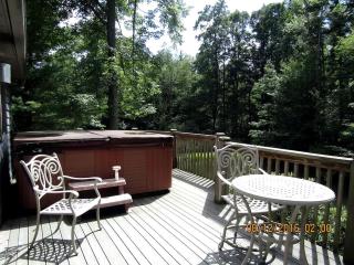 Secluded Rental Cabin with Hot Tub near Deep Creek Lake in West Virginia - 6