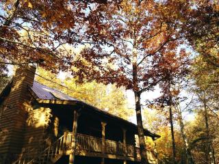 Luxurious Cabin Rental in Blairsville near Chattahoochee National Forest, Georgia - 5