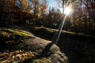 Casa Visnenza Bed & Breakfast - 3