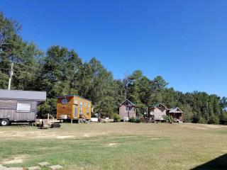 Luxurious Tiny House in Georgia - 6