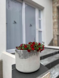 Swellengrebel Nest - 8