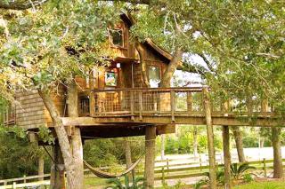 Romantic and Unique Tree House Rental on a Private Ranch in Central Texas - 2