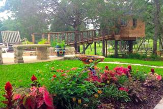 Romantic and Unique Tree House Rental on a Private Ranch in Central Texas - 1