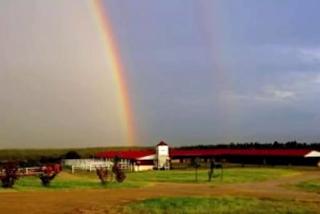 Pet-Friendly Rental with Wi-Fi near Brenham, Texas - 3