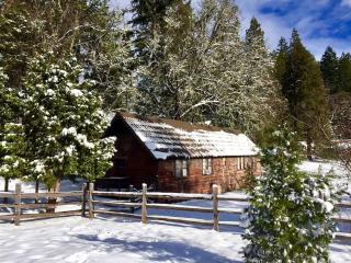 Rustic Cabin Rental in a Wild Meadow near Crater Lake National Park, Oregon - 4