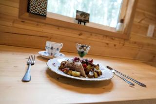 Comfortable Tiny House Rental near Fairbanks for Pet-Friendly Glamping in Alaska - Chena River Seaplane Base - 3