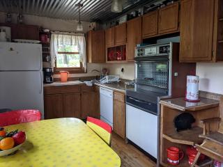 Vintage Cabin Rental near Tippy Dam in Manistee National Forest, Michigan - 8