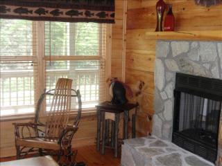 Luxury Cabin Rental With Creek Access in Maggie Valley, North Carolina - 1