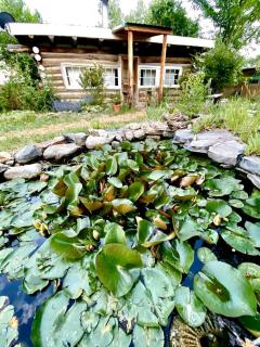 Log Casita Overlooking Pond and Waterfall near Taos, New Mexico - 1
