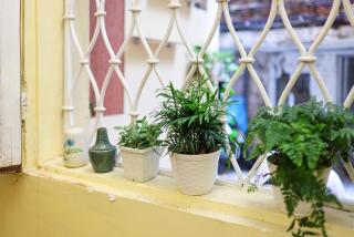 An home - 6