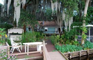 Secluded Cottage Rental with Private Dock on Idyllic Lake Josephine, Florida - 6