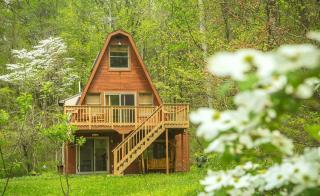 Magnificent A-Frame Cabin Rental in the Trees close to Hocking Hills State Park, Ohio - Laurelville - 0