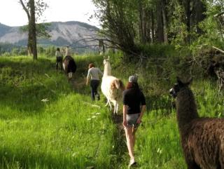 Remote Glamping Tipi Rental in San Juan National Forest of Pagosa Springs, Colorado - 1