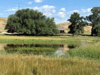 Charming Cabin with Pond and Mountain Views near Downtown Ennis, Montana - 3