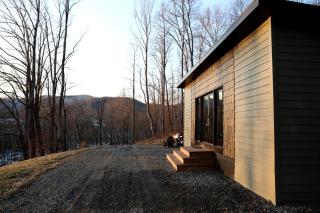 Relaxing Tiny House Nestled Amidst Trees in Madison, Virginia - 3