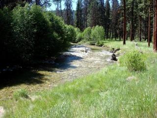 Countryside Cabin Rental for Three in Mountains of Darby, Montana - 1