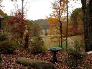 Rustic Cabin on a Woodland Farm in Tellico Plains, Tennessee - 4