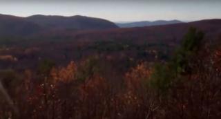 Pet-Friendly Rustic Cabin on Grafton Mountain, New York -  - 1