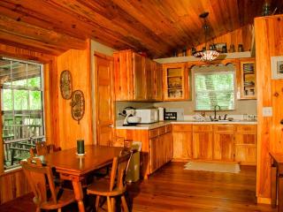 Rustic Cabin on a Ranch near the Ocala National Forest in Central Florida - 3