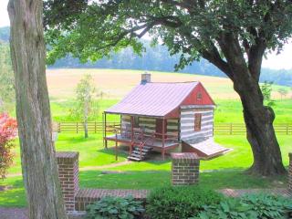 Secluded and Rustic Cabin with a Private Deck near Reading, Pennsylvania - 1