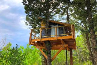 Off-Grid yet Modern Tree House in the Sangre de Cristo Mountains, Colorado - 0
