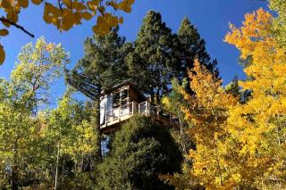 Off-Grid yet Modern Tree House in the Sangre de Cristo Mountains, Colorado - 5