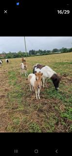 Parkhouse farm caravan - 1