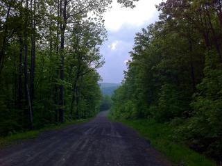 Minimalist Countryside Villa Rental near Albany in Upstate New York - 6