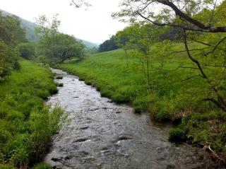 Minimalist Countryside Villa Rental near Albany in Upstate New York - 5