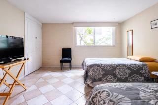 Extraordinary Apartment San Angel Mexico City - 6
