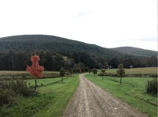 Upscale Rustic Cabin Surrounded by Spacious Pennsylvania Countryside near Pine Creek Gorge - 4