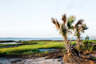 Enchanting Luxury Camping on a Private Island in the Golden Isles of Georgia - Jekyll Island - 4