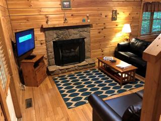 Rustic Cabin Rental in a Tranquil Forest Setting near Oak Hill, West Virginia - 4