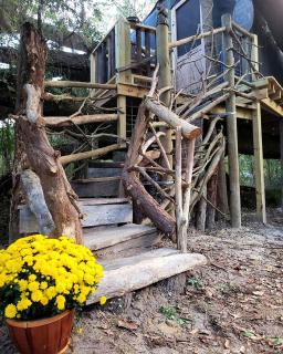 Fabulous and Unique Tree House Rental for Romantic Glamping in Florida - 8