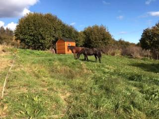 Secluded Tiny House near Kilcher Beach in Homer, Alaska - 8