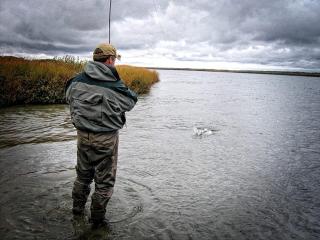 Family-Friendly Cabin Rental near Prime Fishing in Igiugig, Alaska - 4
