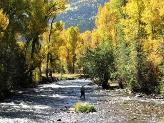 Rustic Cabin Rental on Conejos River in San Juan Wilderness, Colorado - 5