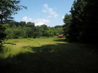 Romantically Rustic Gypsy Caravan Rental for Glamping in Virginia - 1