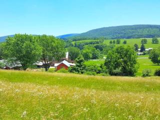 Bright and Spacious Vacation Rental near Catoctin Mountain Park, Maryland - 6
