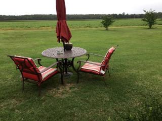Serene Tiny House with a Big Charm for Glamping in Virginia - 6