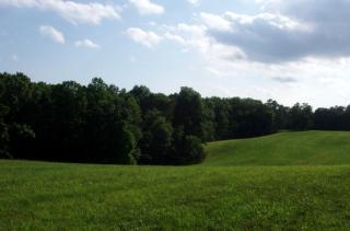 One-Bedroom, One-Bathroom Cottage Rental on a 250-Acre Cattle Farm near Appalachian Trail - 1