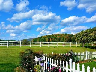 Country Cottage on Stunning Horse Farm in Cherokee National Forest, Tennessee - 6