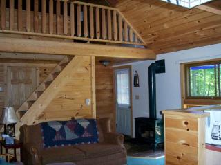 Adirondack Getaway near many Outdoor Activities in Old Forge, New York - 9