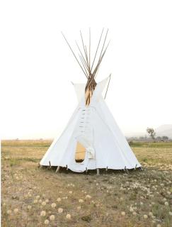 Experience Pet-Friendly Perfection: Classic Tipi Glamping Near Wind River Mountains, WY - 3